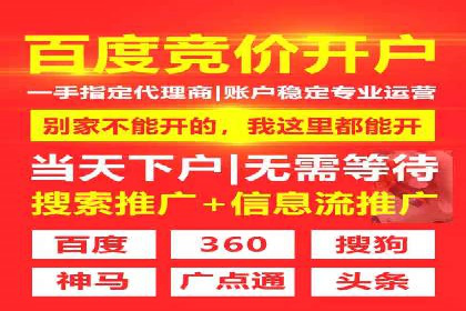 SEM运营公司案例解析：数据分析与优化